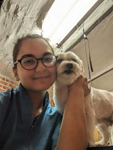 Toiletteuse pour chien