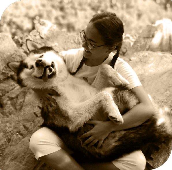 Accompagnement animalier